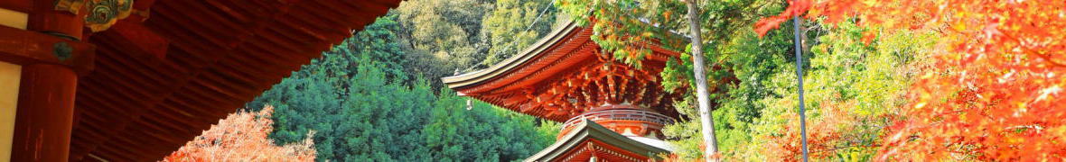 高雄山神護寺