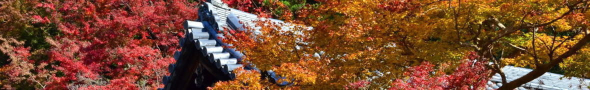 河内長野　興禅寺