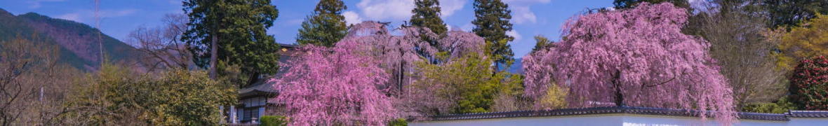 春の風景