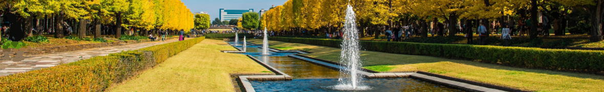 昭和記念公園