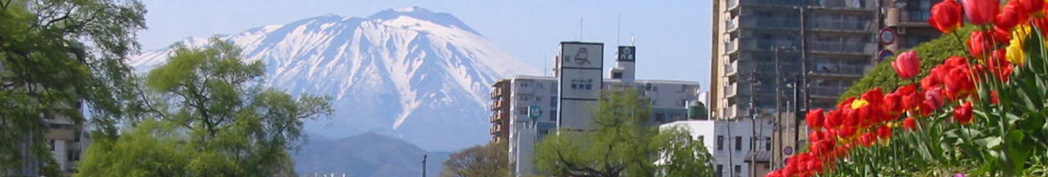 盛岡市街