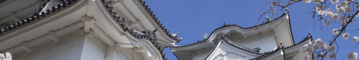 伊賀上野城